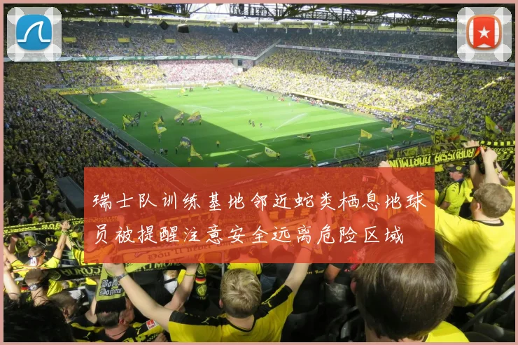 瑞士队训练基地邻近蛇类栖息地球员被提醒注意安全远离危险区域