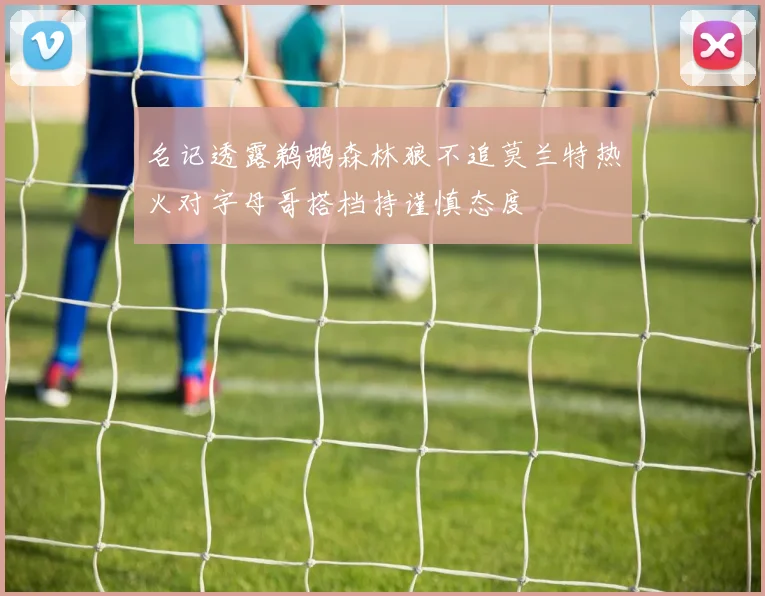 名记透露鹈鹕森林狼不追莫兰特热火对字母哥搭档持谨慎态度