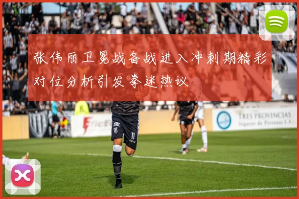 张伟丽卫冕战备战进入冲刺期精彩对位分析引发拳迷热议